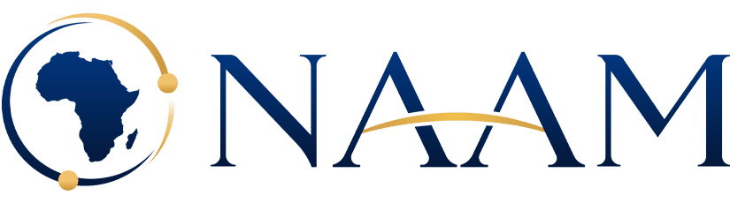 NAAM – Identité numérique & noms de domaine en Afrique